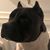 John Coffee's profile image