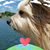 Debbie Shearman Tobey's profile image