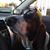 Karen Wittke's profile image