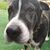 Shylo Drabner Payne's profile image