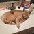 Tracy Blakeman's profile image