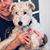 Maureen Dowe Gallo's profile image
