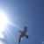 Heather Hufford's profile image