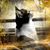 Marilyn McWithey's profile image