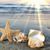 Lynn Ditzell's profile image