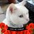 Sandra Lamb's profile image