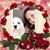 Rhonna Mackey Callen's profile image