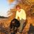 Elaine Cripps Hiedeman's profile image