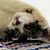 Darrell Smith's profile image