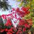 Karen Echard's profile image