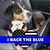 Amy Beck Pfeiffer's profile image