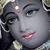 Biswanath Sap Chakraborty's profile image