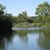 Nancy Slone Rivera's profile image