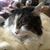 Richard Hennenhoefer's profile image