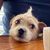 Tackleberry Scott's profile image