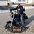 Settimo Sam Lucchese's profile image