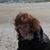 Cindy Wilde Meeks's profile image
