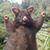 Rob Devon's profile image