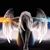 Jenniffer Angyll Hunter-Davis's profile image