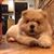 Doug AndJoie Sawdon's profile image