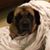 Denise Bee's profile image