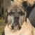 Bonnie Williams Cook Barbieri's profile image