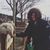 Jane Mitchell's profile image