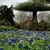 Lois A Smith's profile image