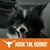Xann Hinojosa's profile image