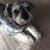 Jerry Ellis's profile image