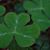Meg Gallagher Fairbairn's profile image
