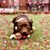 Chris Salz's profile image