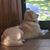 Rose Ellen Harmon's profile image