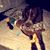 Sandy Powell Redding's profile image