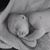 Wendy Brooks-Delrose's profile image