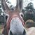 Ruthy Kersey Moix's profile image