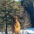 Michelle Smith Quintana's profile image