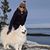 Amy Crosby's profile image