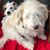 Lori Quinlan's profile image