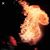 Demolition Doll's profile image