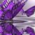 Pam Sandness's profile image