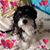 Judy Ladley's profile image