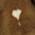 Rya Chasmar's profile image