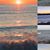 Tracey Schollin's profile image