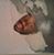 Antwone Roqumore's profile image