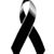 Sarah Pasquis's profile image