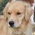 Karen Fritz Coulter's profile image