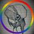Christina Donoso Cerutti's profile image