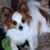 Shirley Rich's profile image