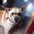 Nancy Gale's profile image